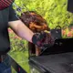 Вертел Char-Broil универсальный электрический 220В