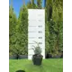 Можжевельник Мейери Компакта h20 - 40 см