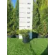 Можжевельник Пфитц Ауреа h20 - 40 см