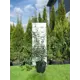 Спирея Вангутта h60 - 80 см