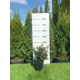 Барбарис самшитолистный Нана h20 - 40 см