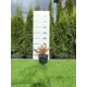Барбарис Тунберга Сенсейшн h20 - 40 см