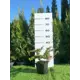 Барбарис Тунберга Парк Джевел h20 - 40 см