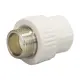 Муфта комбинированная СТМ 3/4"x32 мм ВП-НР полипропилен CPSM3234