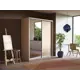 Шкаф-купе Мебельная компания Е1 Экспресс 1EMD_120240_D 240x120x60 см ЛДСП цвет дуб молочный