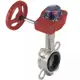 Затвор дисковый поворотный Dn.ru D050-13121 Ду40 Ру16 1 1/2" 120° сталь