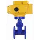 Задвижка клиновая Dn.ru D040-05783 Ду65 Ру16 2 1/2" 120° чугун