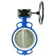Затвор дисковый поворотный Dn.ru D050-13084 Ду65 Ру16 2 1/2" 120° сталь