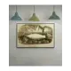 Постер ПростоПостер Белуга 50x70 см в подарочном тубусе без рамы