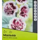 Мальва Кассис разбор I