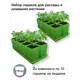 Горшки для рассады и цветов Пеликан комплект из 20 горшков и 2 поддона зеленые d 8.5 см v 0.75 л