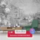 Фотообои флизелиновые Первое ателье 400x250 см Венеция в черно-белых тонах в обрамлении из цветов pw97368