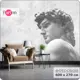 Фотообои флизелиновые Barton wall Штукатурка Скульптура 600x270 см M25506-W