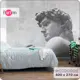 Фотообои флизелиновые Barton wall Штукатурка Скульптура 400x270 см M25504-W