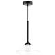 Светильник подвесной Lightstar Vetro Ls_801204 1 лампа 1 м² цвет черный
