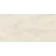 Стеновая панель TAJMAHAL CREAM АКП 120x60x0.4 см цвет бежевый