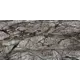Стеновая панель Forest Choco 120x0.4x60 см АКП цвет коричневый