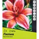 Лилия Ред Экзотик луковицы 12/14, 3 шт.