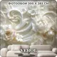 Фотообои флизелиновые Verol 300x283 см 257-ФФО-05899