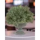 Растение искусственное Самшит в кашпо 28xH30 см