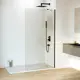 Душевая перегородка RGW Walk In WA-110B 546176, 100x195, профиль черный