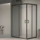 Душевой уголок RGW Passage PA-040B 555723, 1200x800x1950, профиль черный