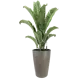 Кашпо Vase Planta vita d 39 см 60 см 33 л пластик коричневый с автополивом