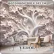 Фотообои флизелиновые Verol 500x283 см 291-ФФО-05874