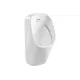 Писсуар Aquatek 00000135944 в комплекте с сенсорным смывным механизмом AQ3060-S-00