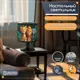Настольная лампа Бруталити животные 500 Na-nojke-di-150724-0008 цвет черный