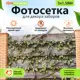 Фотосетка для забора и фасада АртПалисад 300x158 см Барвинок