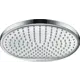 Лейка для душа Hansgrohe 00000048516 1 режимная цвет серебристый