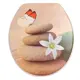 Сиденье для унитаза Delphinium 105067 цвет бежевый
