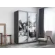 Шкаф-купе фотопечать Мебельная Компания Е1 2 дверный 240x120x60 см 7 полок ЛДСП цвет серый ef1001_120240_dm