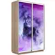 Шкаф-купе фотопечать Мебельная Компания Е1 2 дверный 220x160x45 см 7 полок ЛДСП цвет дуб сонома 45ef1011_160_s