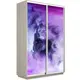 Шкаф-купе фотопечать Мебельная Компания Е1 2 дверный 240x160x60 см 7 полок ЛДСП цвет ясень шимо светлый