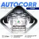 Эмаль антикоррозийная Malare StrongCorr для днища автомобиля цвет RAL 5005 синий матовая 2.5 кг