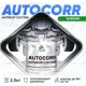 Эмаль антикоррозийная Malare StrongCorr для днища автомобиля цвет RAL 6032 зеленый матовая 2.5 кг