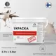 Краска для потолка и стен моющаяся Malare Professional быстросохнущая матовая цвет абсолютный бежевый 2.7 л
