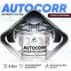 Эмаль антикоррозийная для автомобиля Malare StrongCorr матовая цвет RAL 8012 красно-коричневый 2.5 кг