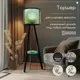 Торшер Бруталити Растения ботаника 2101 со столиком цвет черный