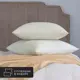 Комплект из 2 подушек Daily by T Жемчужина Тибета 50x70 см, полиэфирное волокно, пух