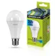 Светодиодная лампа Ergolux LED-A70-35W-E27-4K 14231