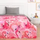 Покрывало Этель 1.5сп Flamingo garden, 145x210 см, микрофибра