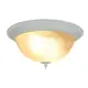 Светильник настенно-потолочный Arte Lamp Porch 2 лампы цвет белый