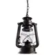 Люстра потолочная ARTE LAMP A3843SP-1BG A3843SP-1BG 1 лампа 2 м² цвет медный