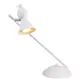 Лампа настольная Arte Lamp Picchio A9229LT-1WH цвет белый