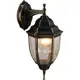 Светильник уличный Arte Lamp Pegasus A3152AL-1BN IP44