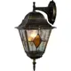 Светильник уличный Arte Lamp Berlin A1012AL-1BN IP44