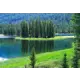 Фотообои Vostorg № 11 Таежное озеро 294x201 см